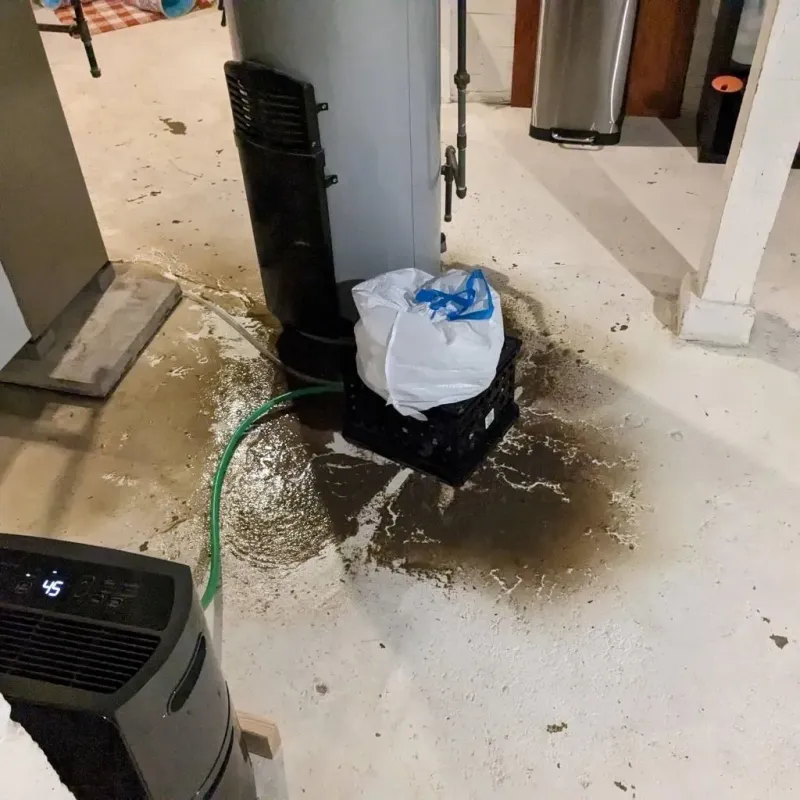 Sewage Backup Cleanup Service in Monticello, GA